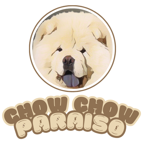 CHOW CHOW PARAISO