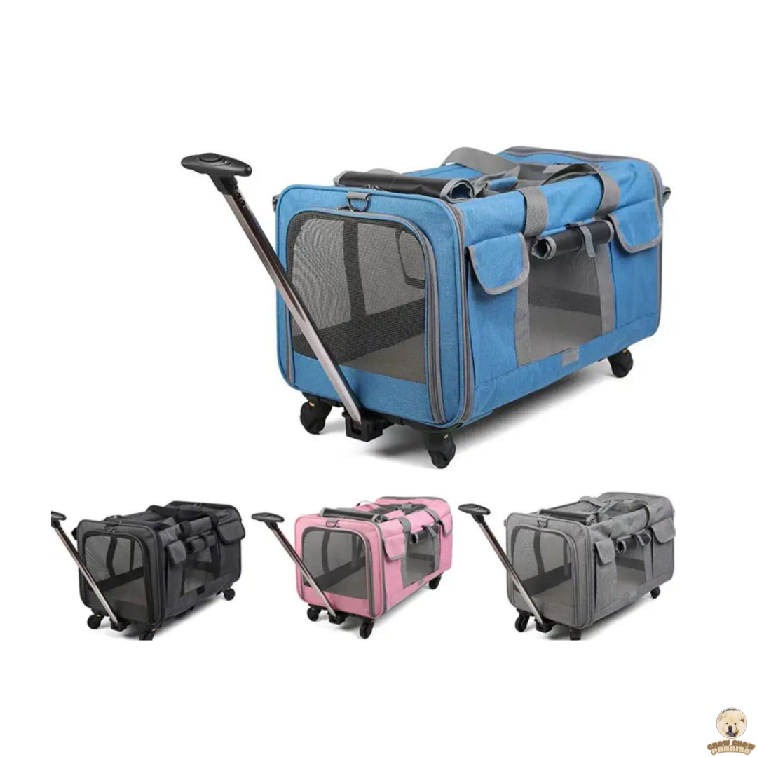 cria de chow chow en españa tienda online de compras para perros. bolsa transpirante trasportador de perros para viajes.chow chow paraiso. el mundo de los perros españa, tienda online, compra de cachorros de chow chow 2