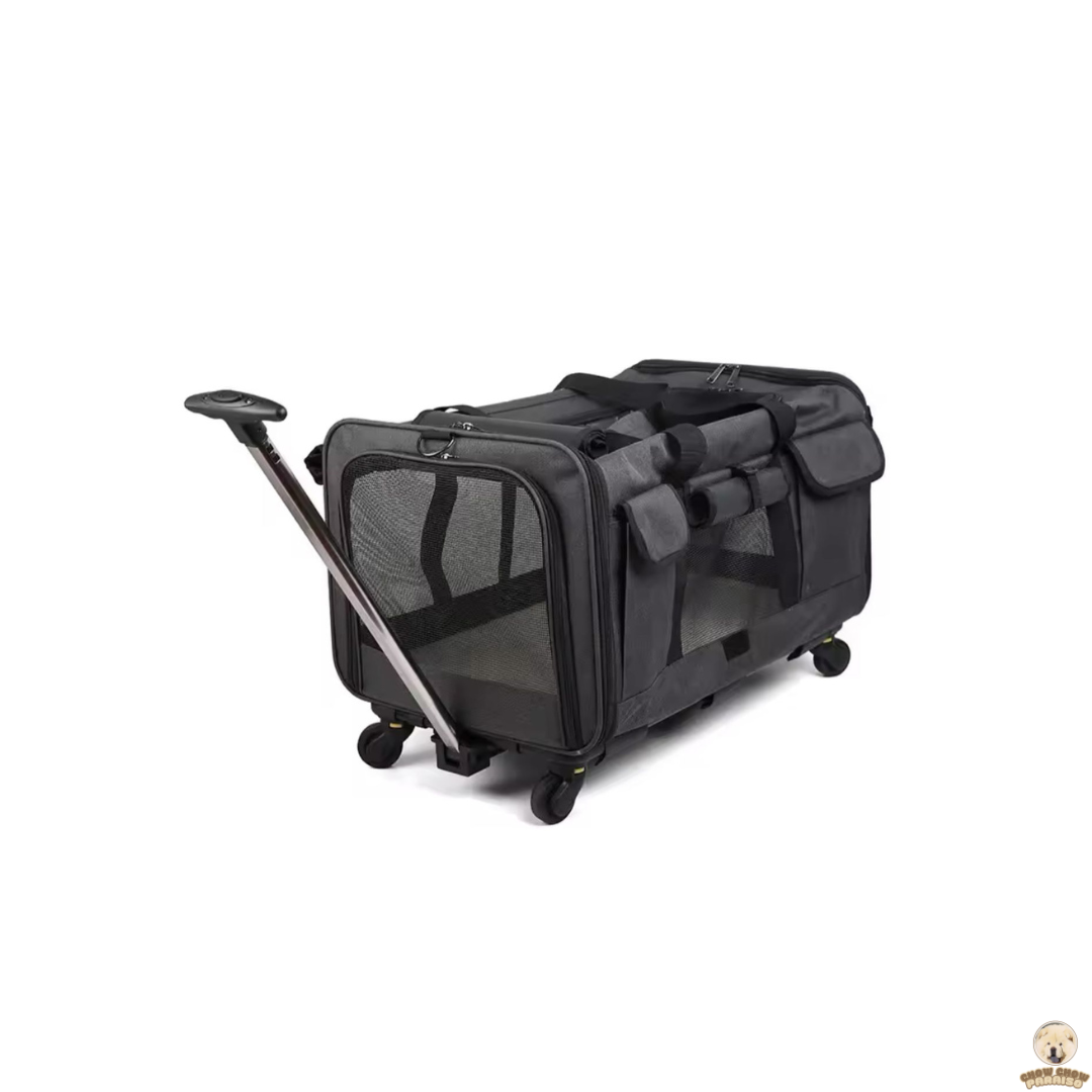cria de chow chow en españa tienda online de compras para perros. bolsa transpirante trasportador de perros para viajes.chow chow paraiso. el mundo de los perros españa, tienda online, compra de cachorros de chow chow 2
