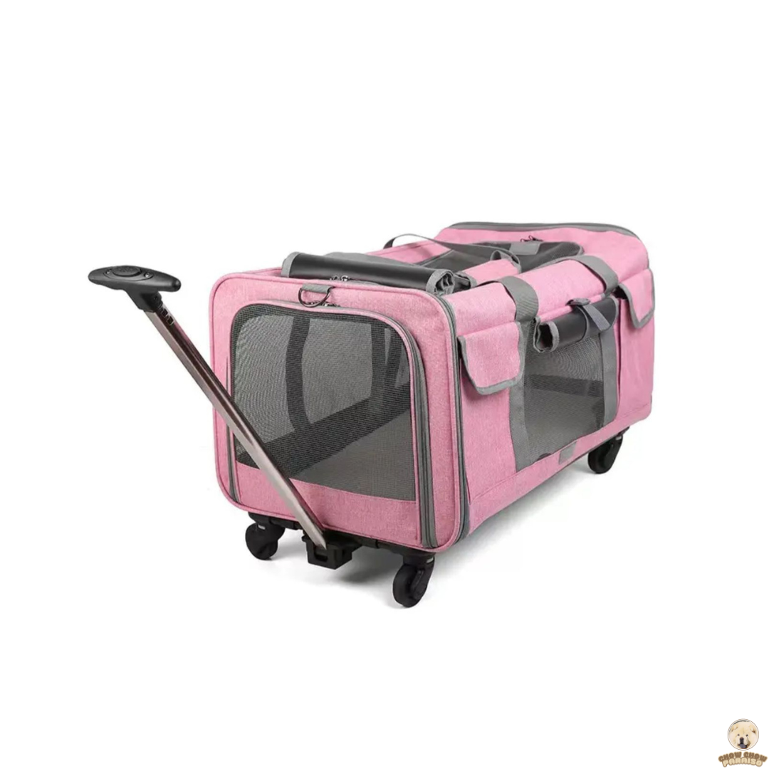 cria de chow chow en españa tienda online de compras para perros. bolsa transpirante trasportador de perros para viajes.chow chow paraiso. el mundo de los perros españa, tienda online, compra de cachorros de chow chow 2