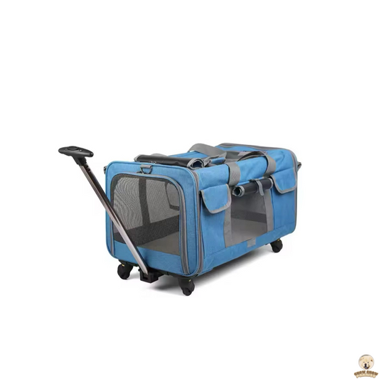 cria de chow chow en españa tienda online de compras para perros. bolsa transpirante trasportador de perros para viajes.chow chow paraiso. el mundo de los perros españa, tienda online, compra de cachorros de chow chow 2